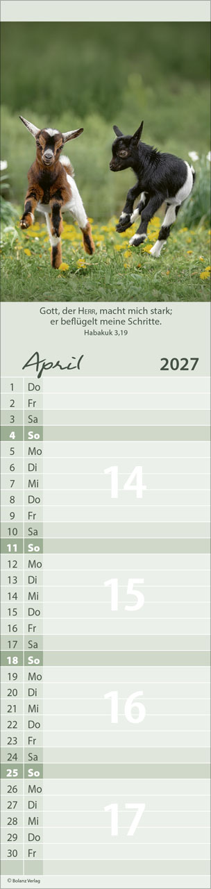 Für Euch 2027 – Streifenterminkalender