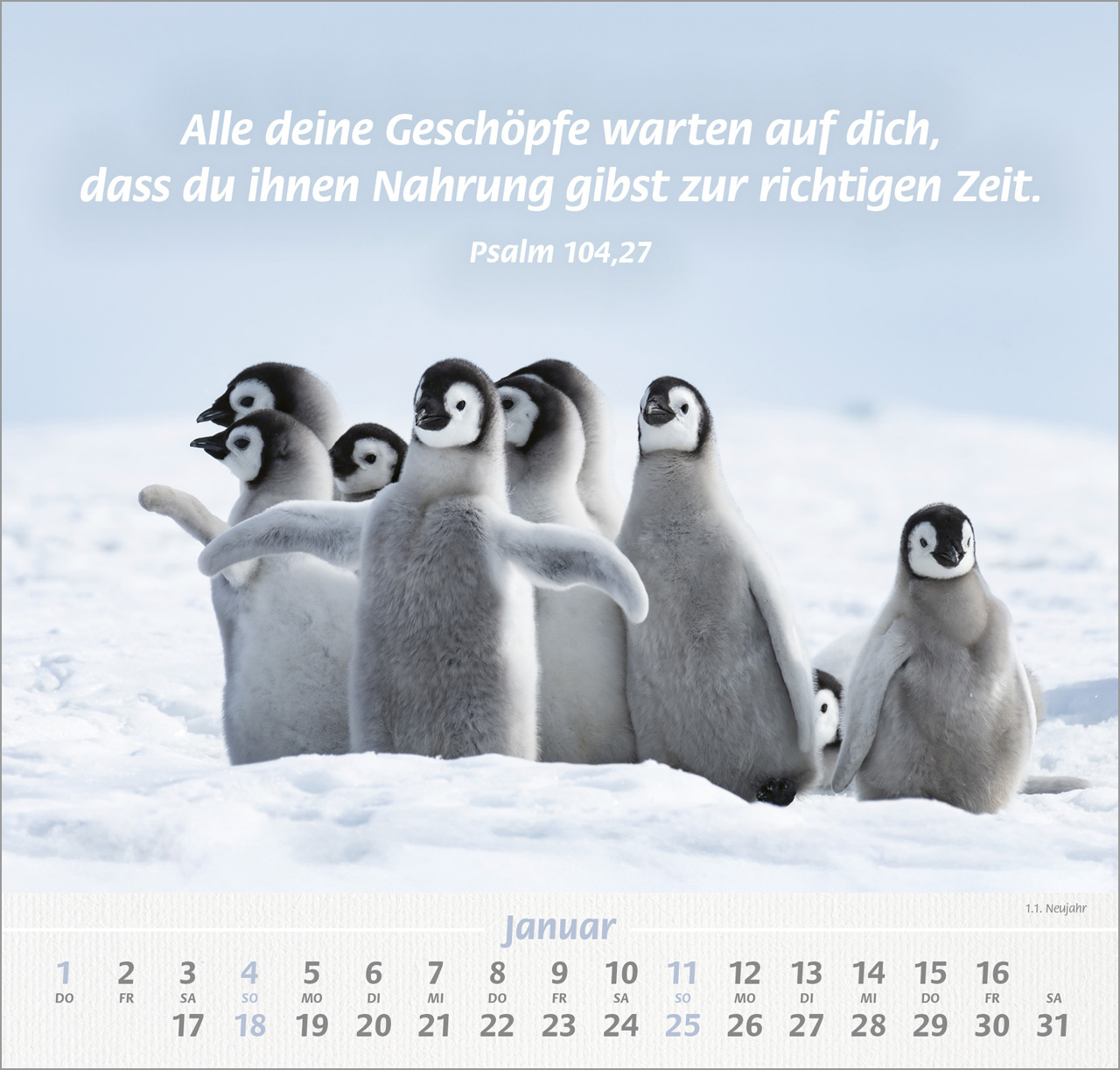 Ich hab dich gern Wandkalender 2026