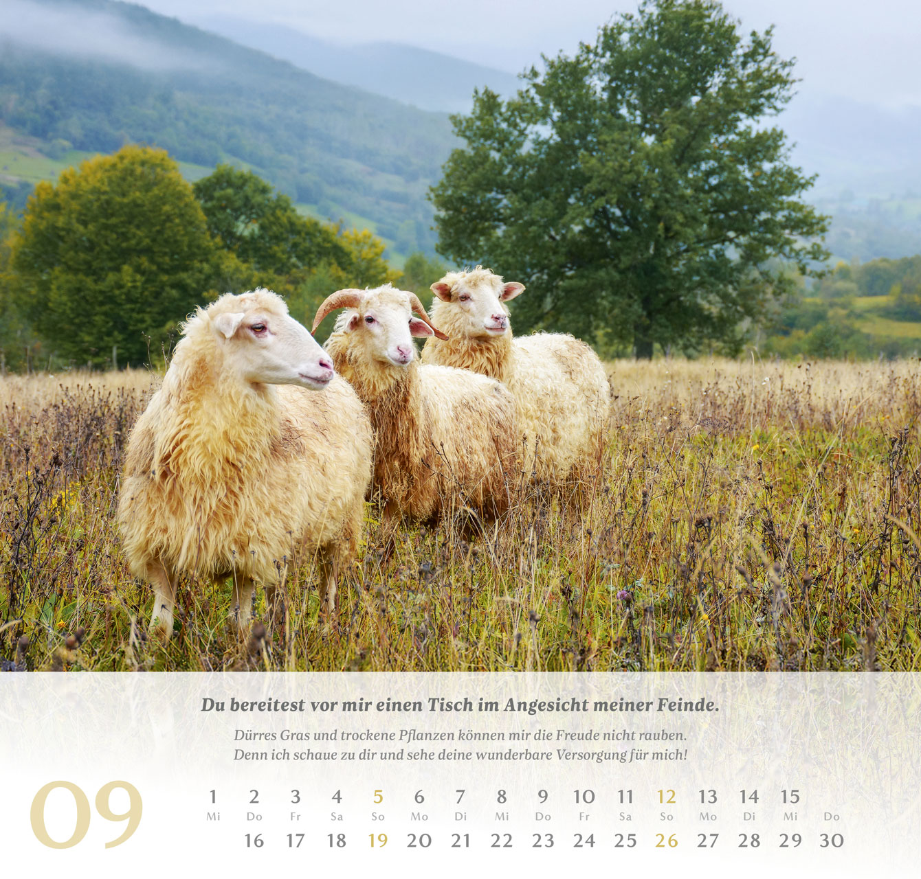 Psalm 23 – 2027 –  Wandkalender