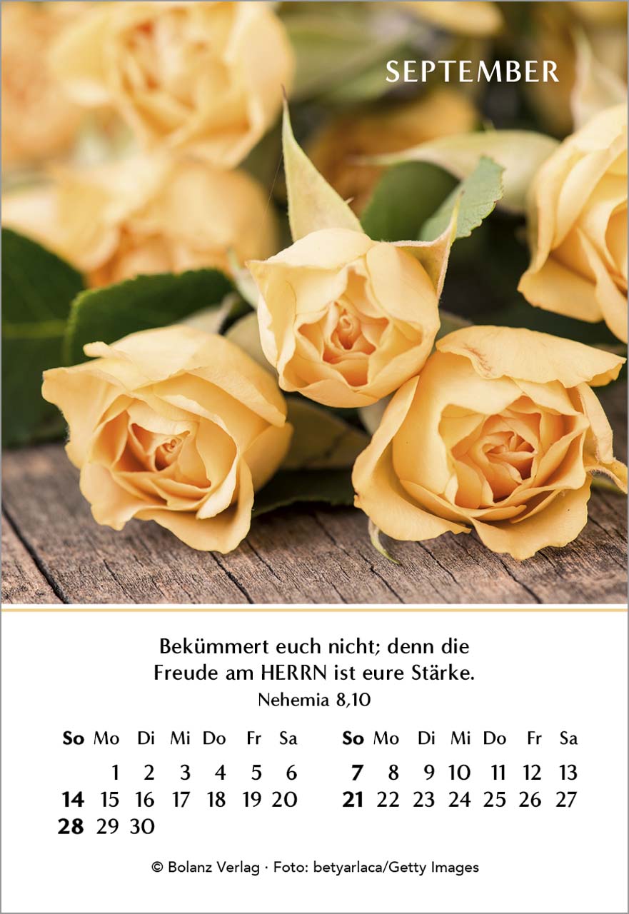 Ein Jahr der Freude Mini-Kalender