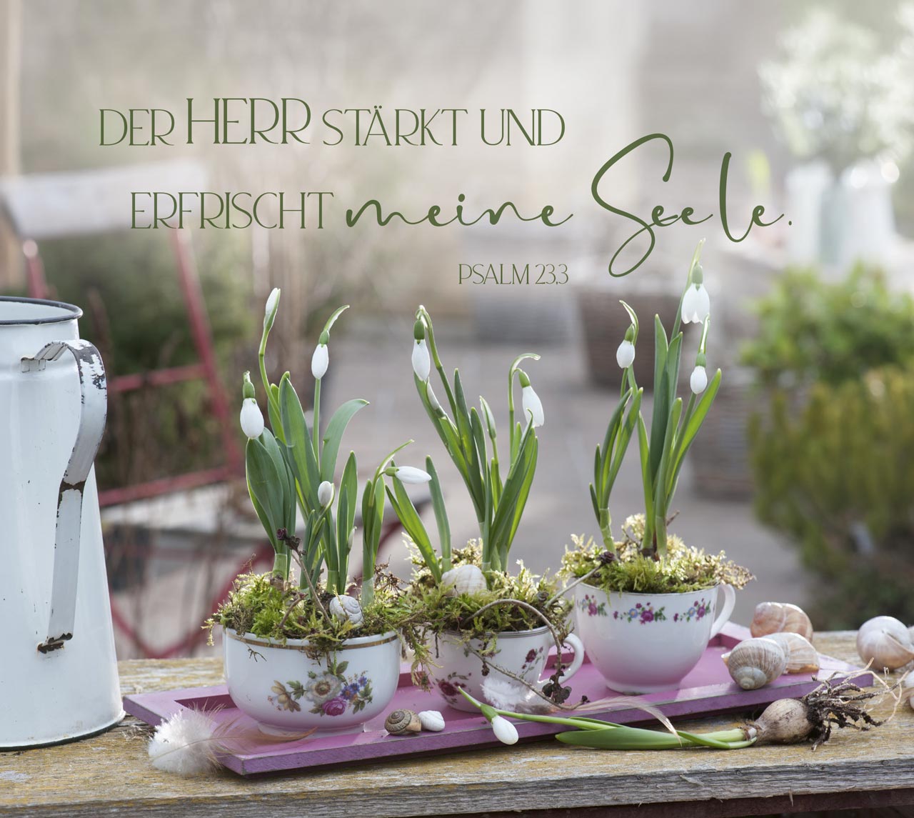 Aufstellbuch - Im Garten zuhause