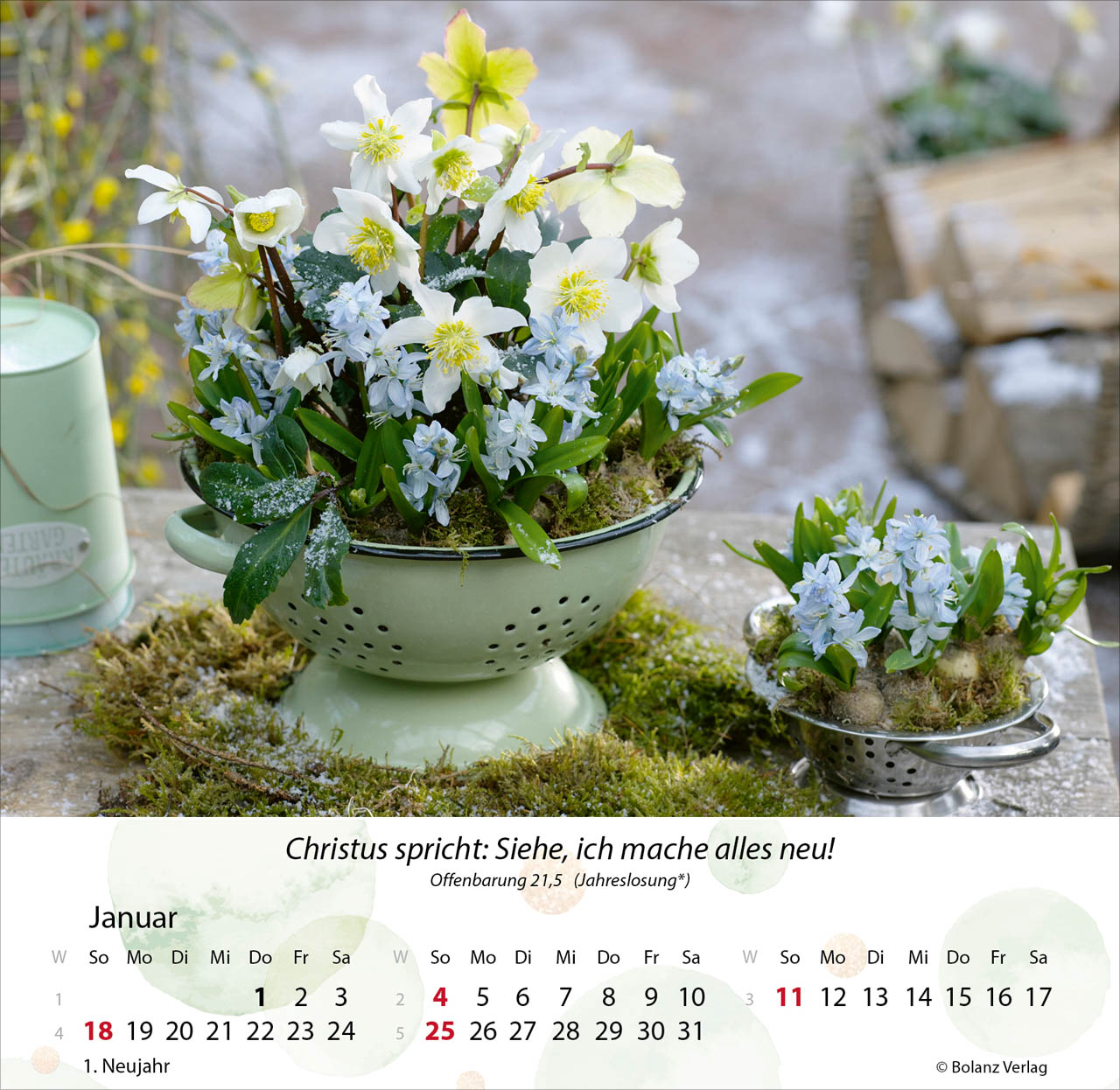 Gärten 2026 - Tischkalender