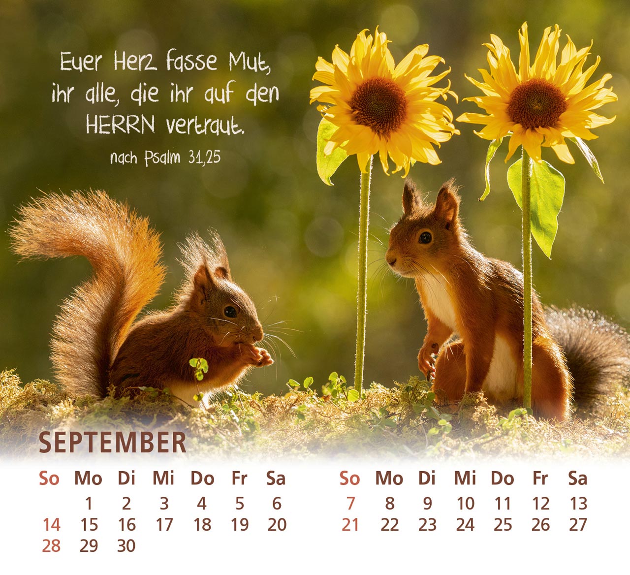 Du bist meine Freude - Eichhörnchen Kalender