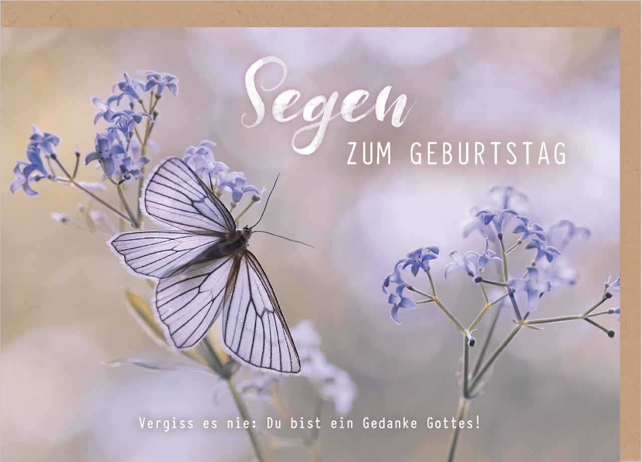 Faltkarte Schmetterling