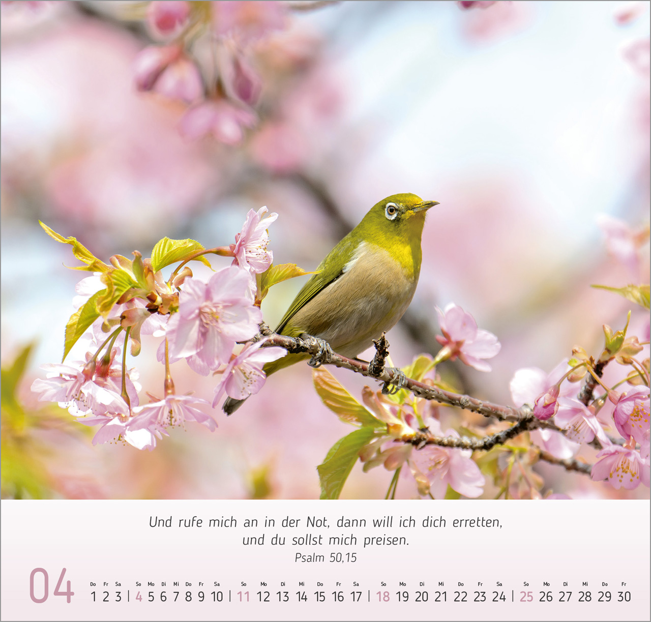Gesichter der Natur 2027 – Wandkalender