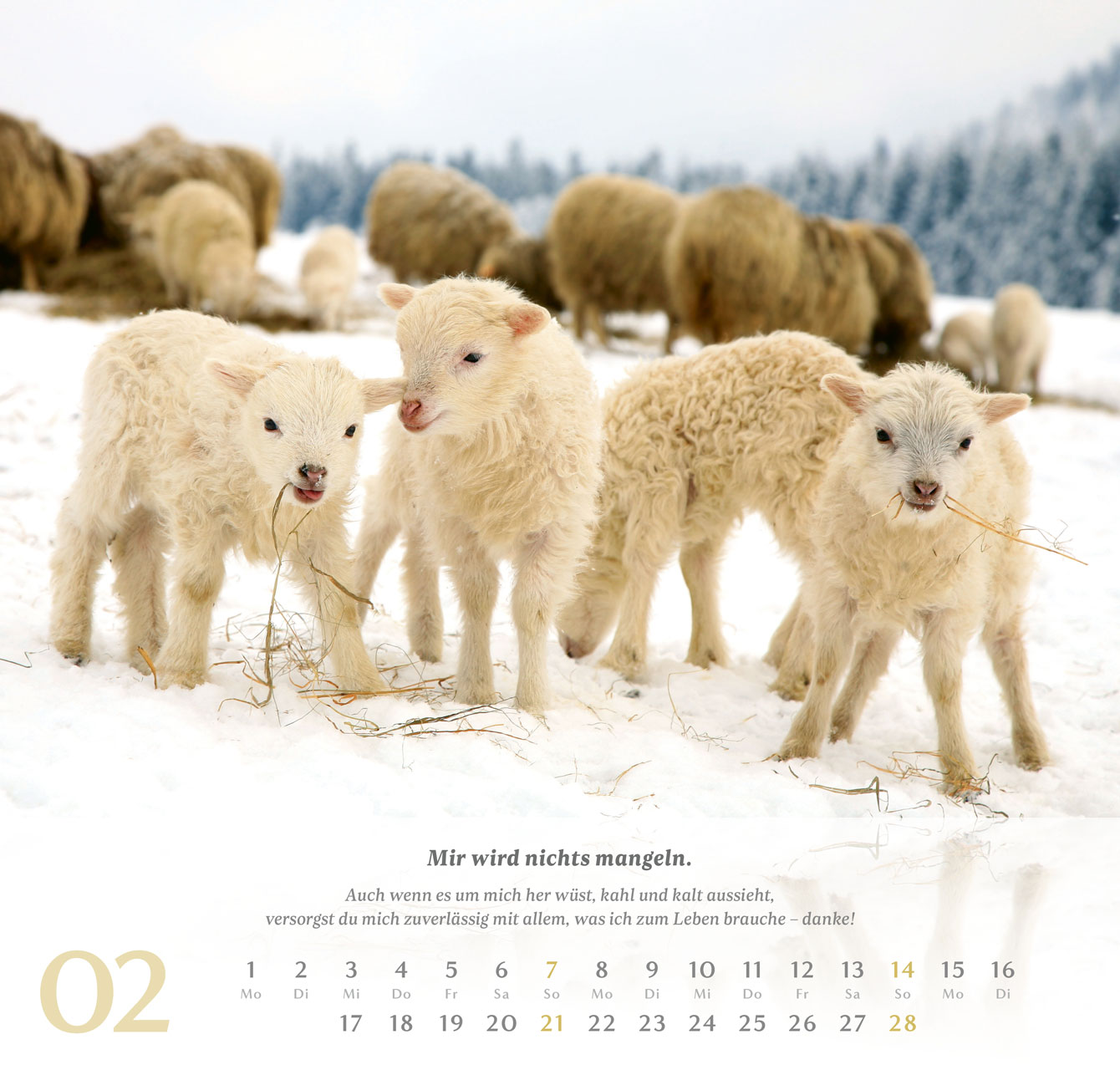 Psalm 23 – 2027 –  Wandkalender