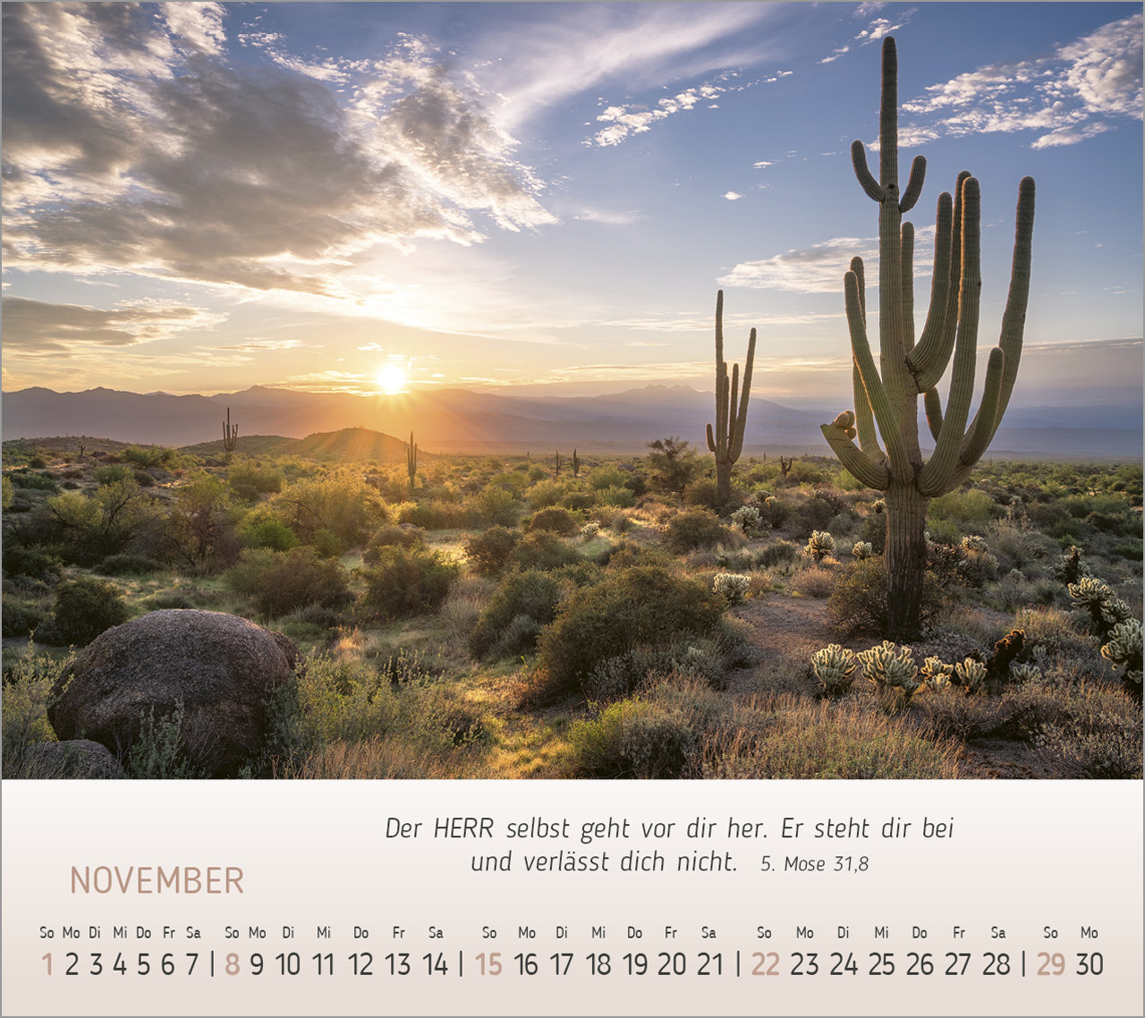 Foto-Träume - Tischkalender 2026 Foto-Träume - Tischkalender 2026