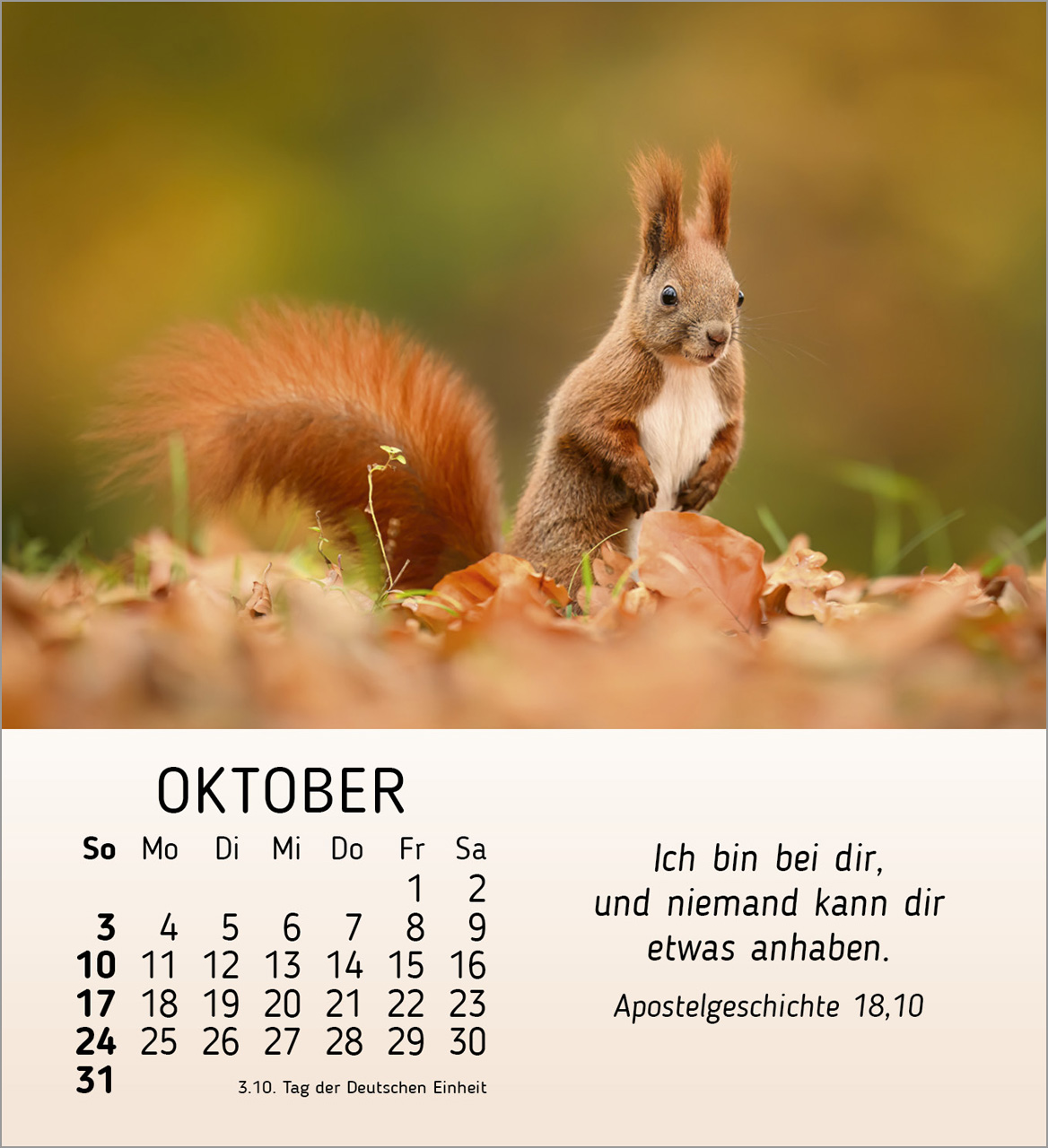 Meine kleinen Freunde 2027 – Tischkalender