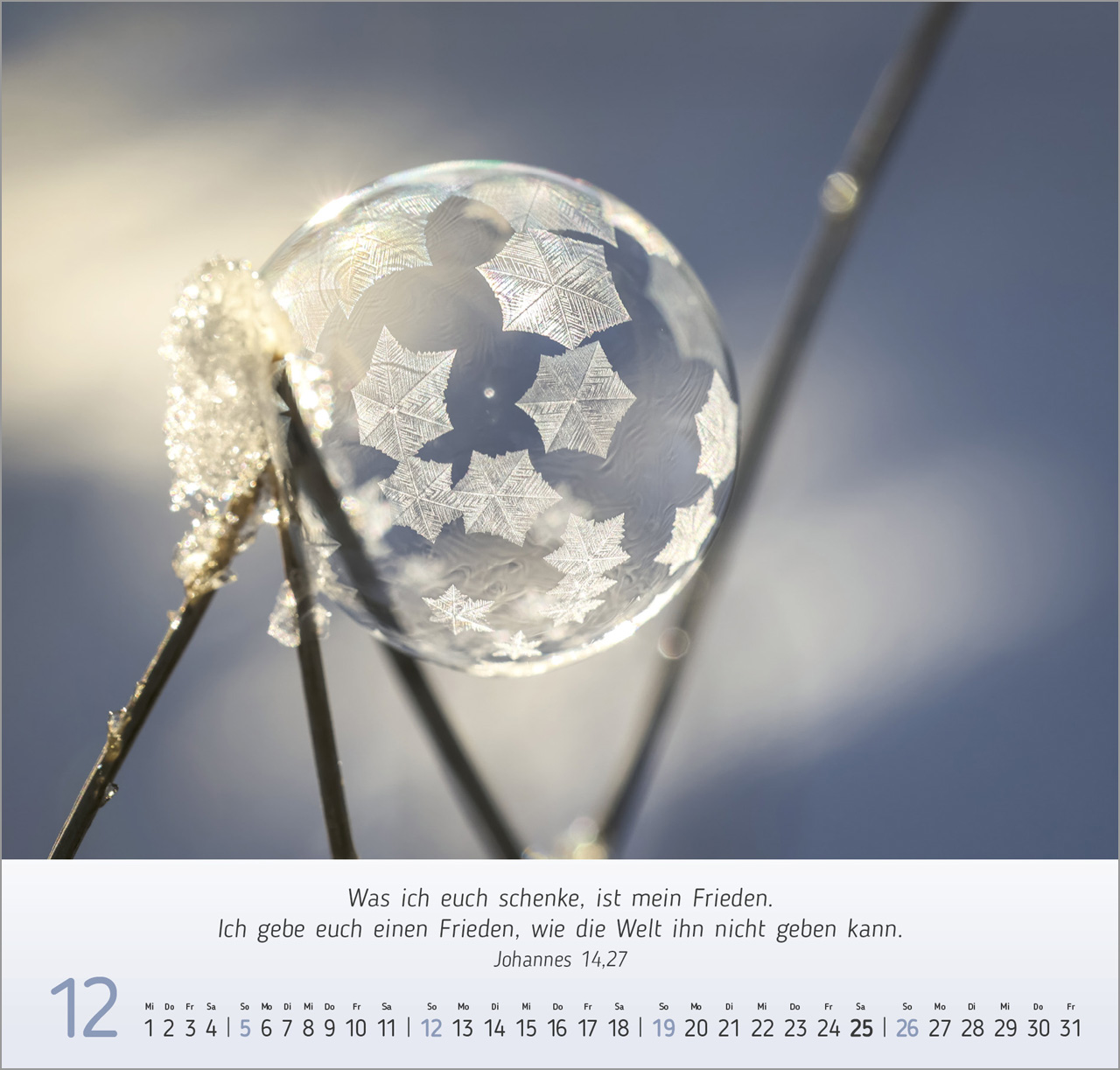 Gesichter der Natur 2027 – Wandkalender