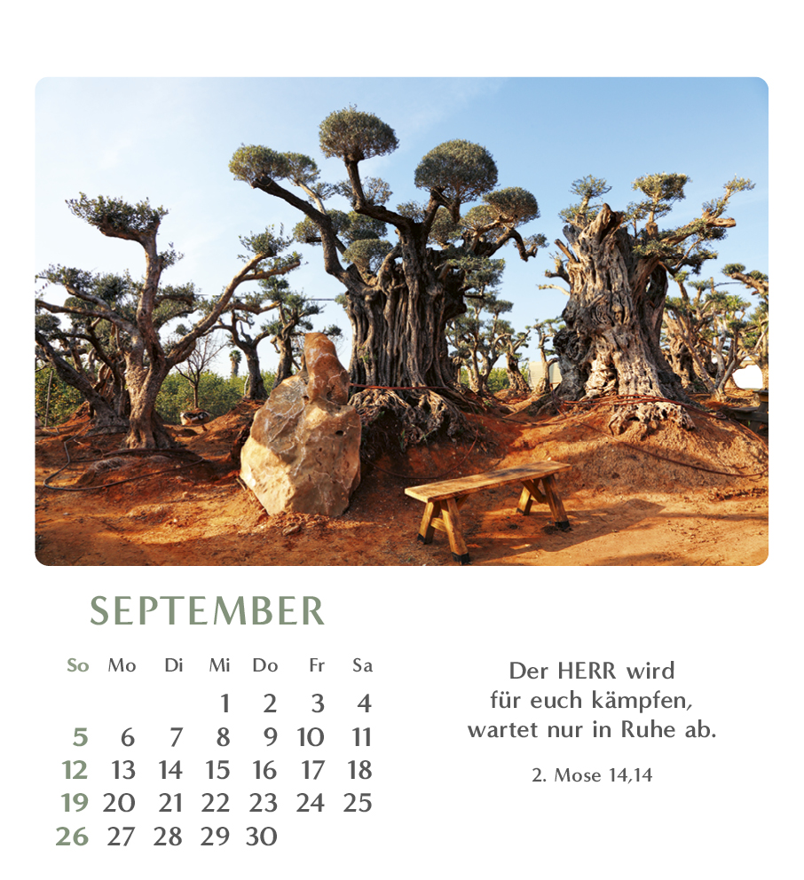 Geliebtes Israel 2027 – Tischkalender