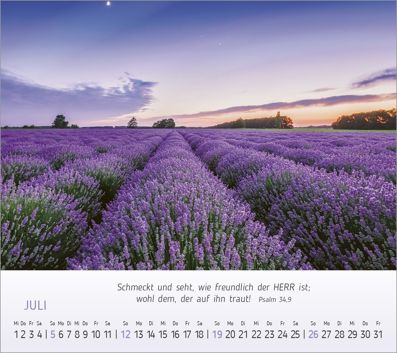 Foto-Träume - Tischkalender 2026 Foto-Träume - Tischkalender 2026