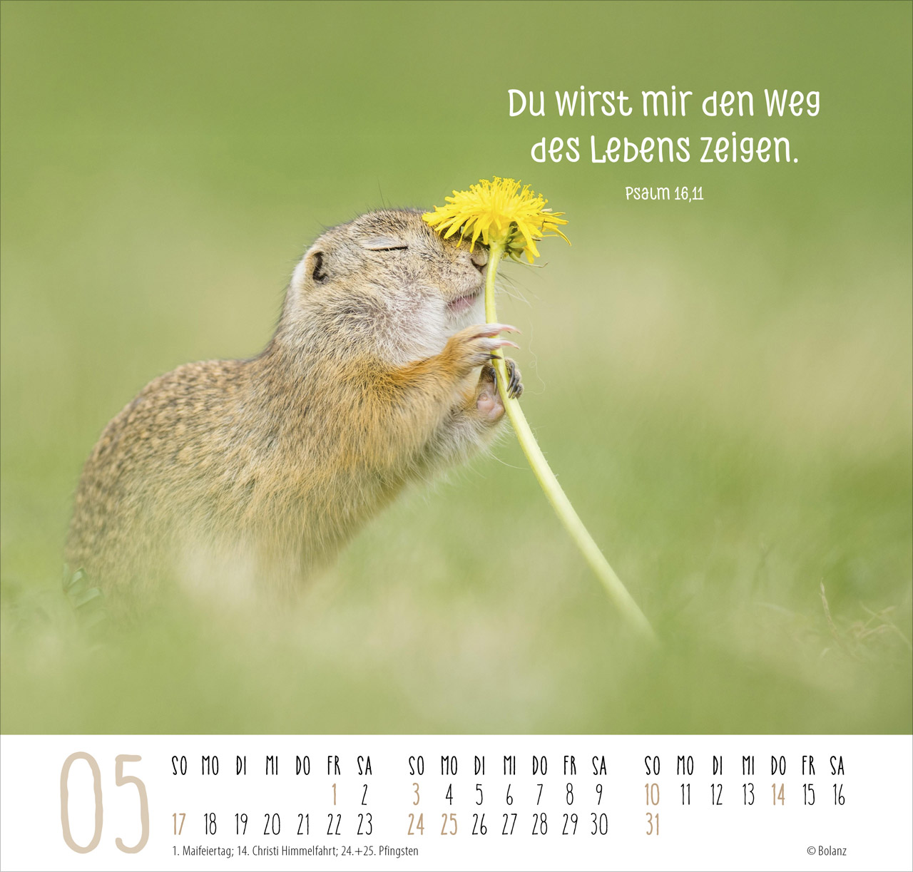 Beste Freunde - Ich mag dich 2026 - Posterkalender