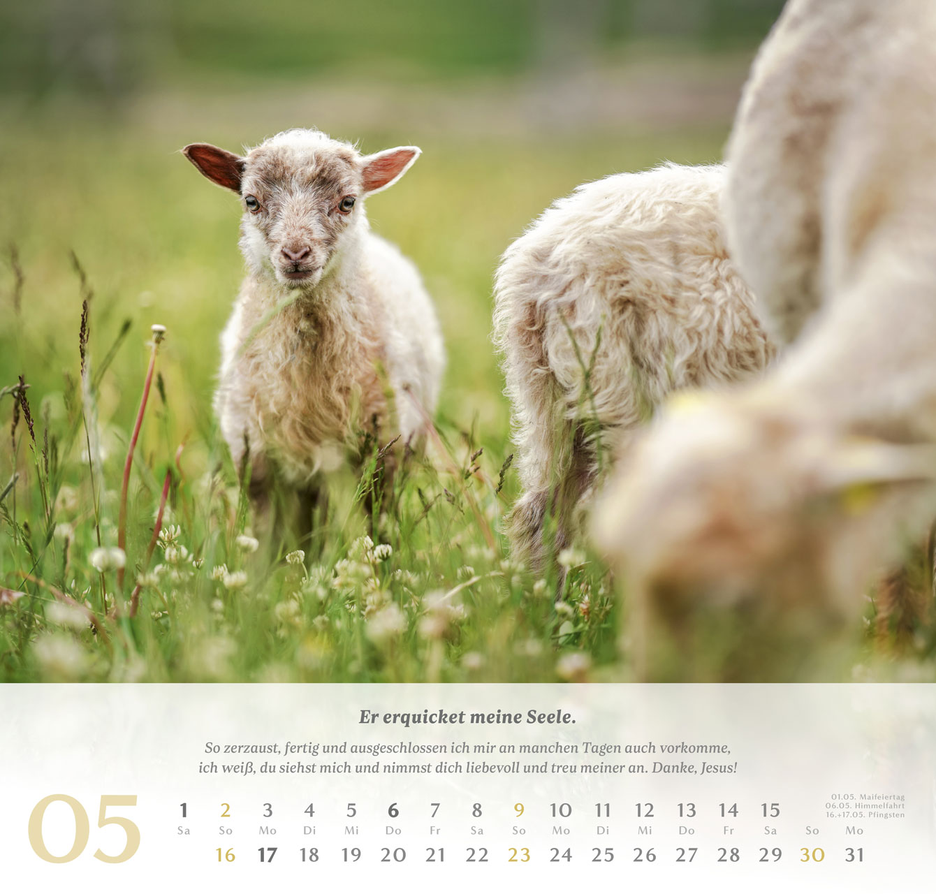 Psalm 23 – 2027 –  Wandkalender