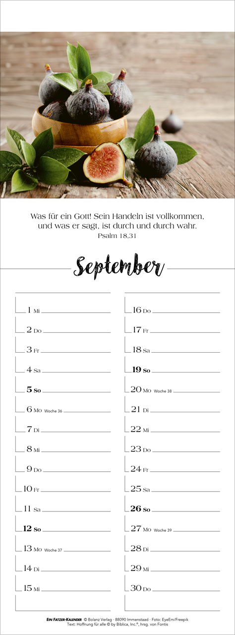 Denk dran 2027 – Streifenterminkalender