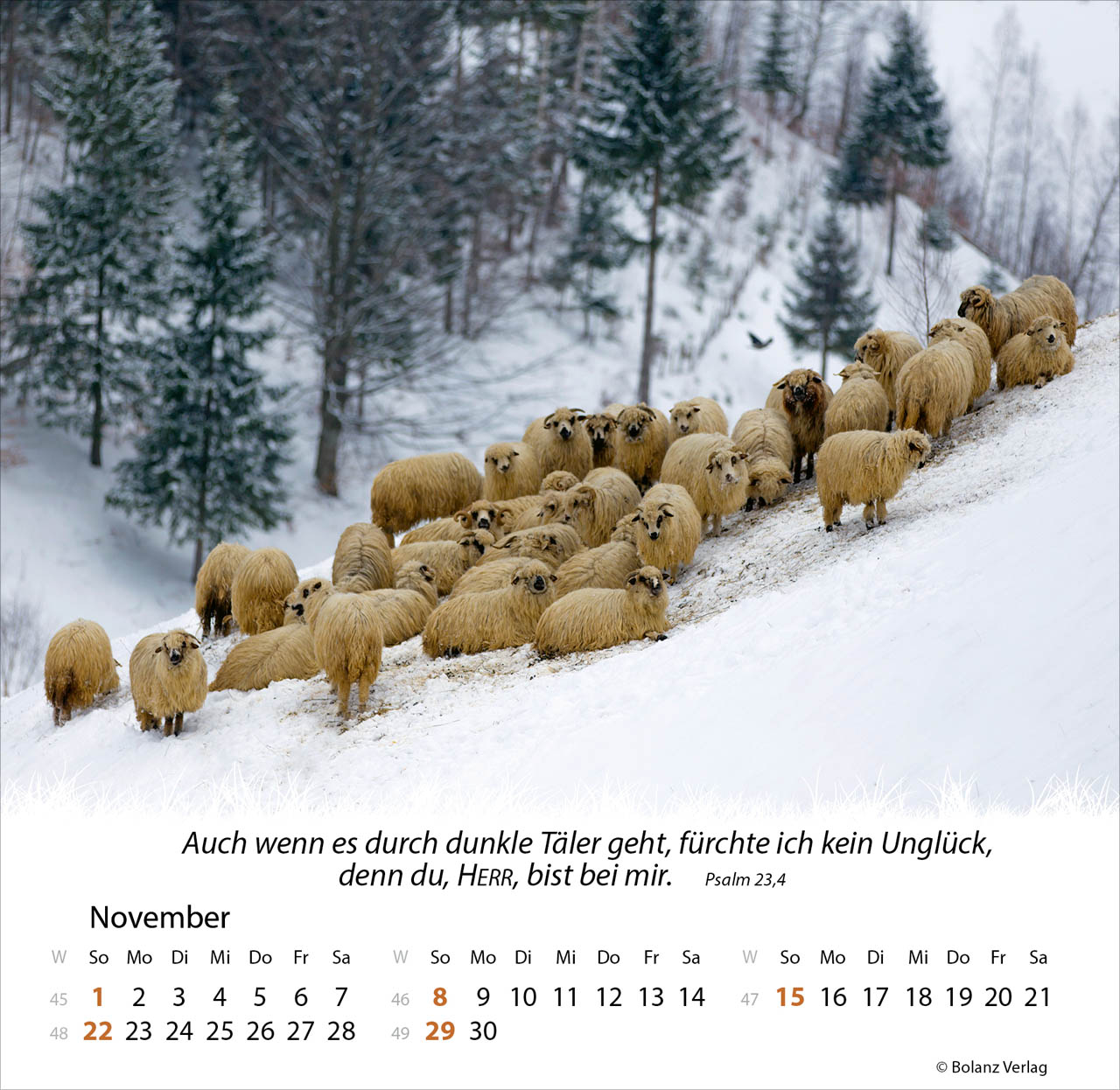 Ein Leben für die Schafe 2026 - Tischkalender