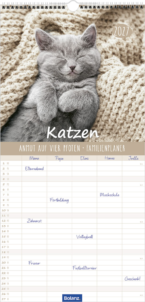 Katzen – Anmut auf vier Pfoten 2027 – Familienplaner