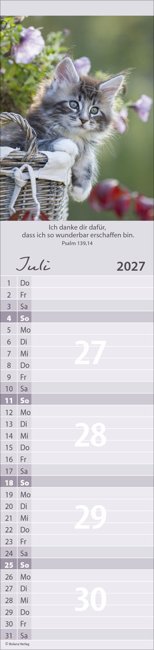 Für Euch 2027 – Streifenterminkalender