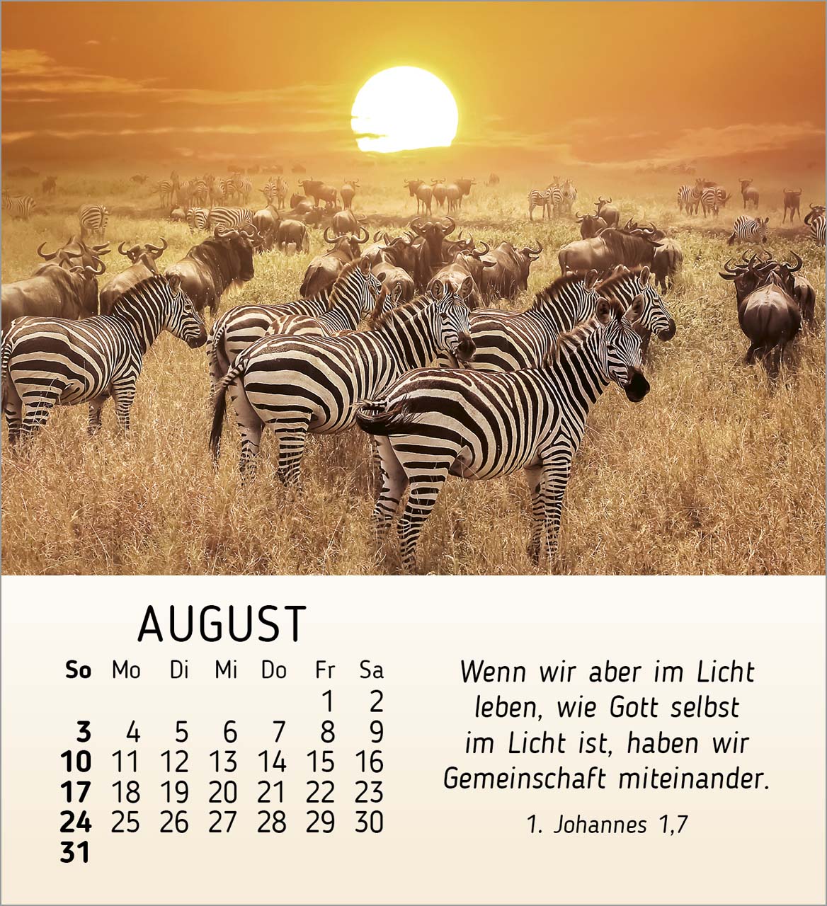 Schönheit des Lichts Tischkalender