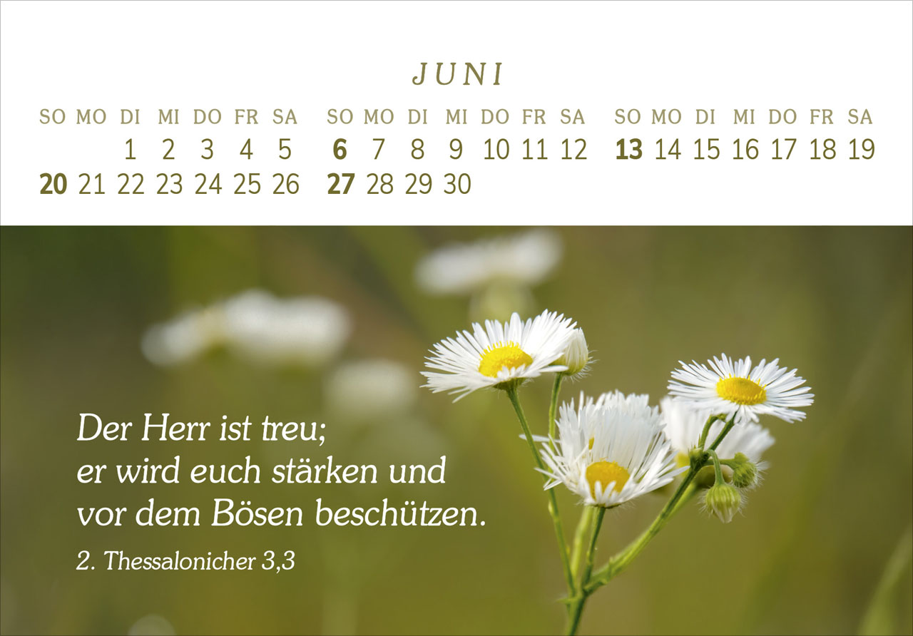 Das Geschenk der Freude 2027 – Panorama-Tischkalender