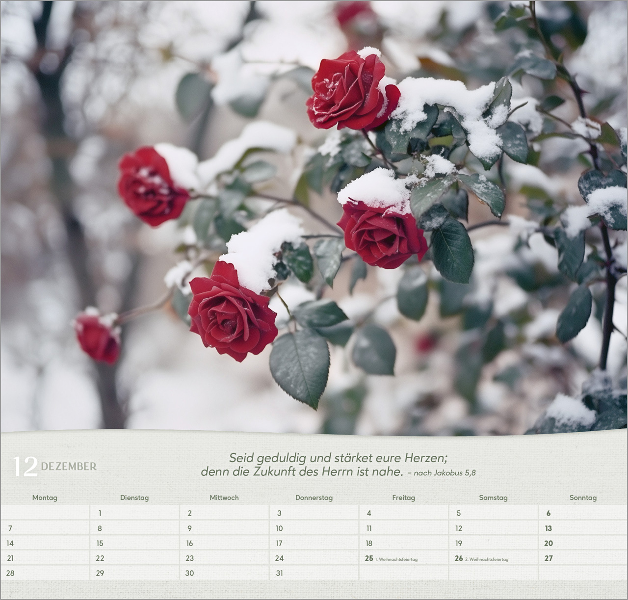 Rosen Wandkalender 2026