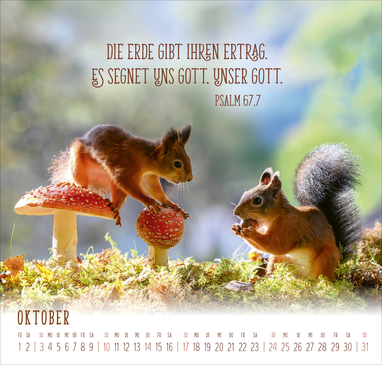 Du machst mich froh 2027 – Wandkalender