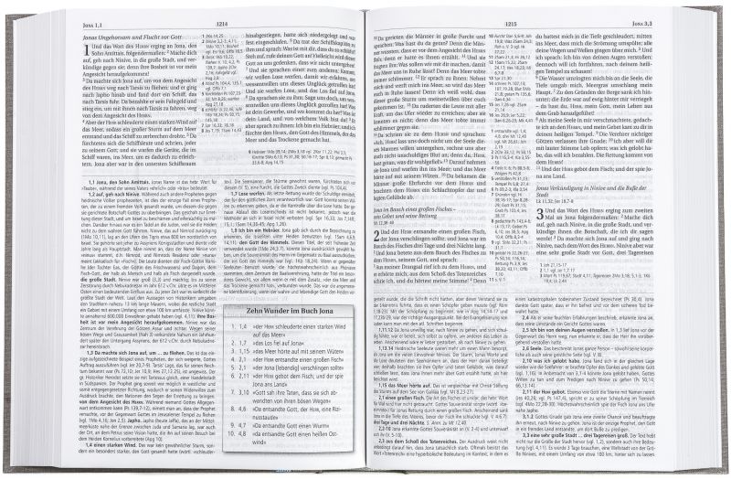 MacArthur Studienbibel - Schlachter 2000