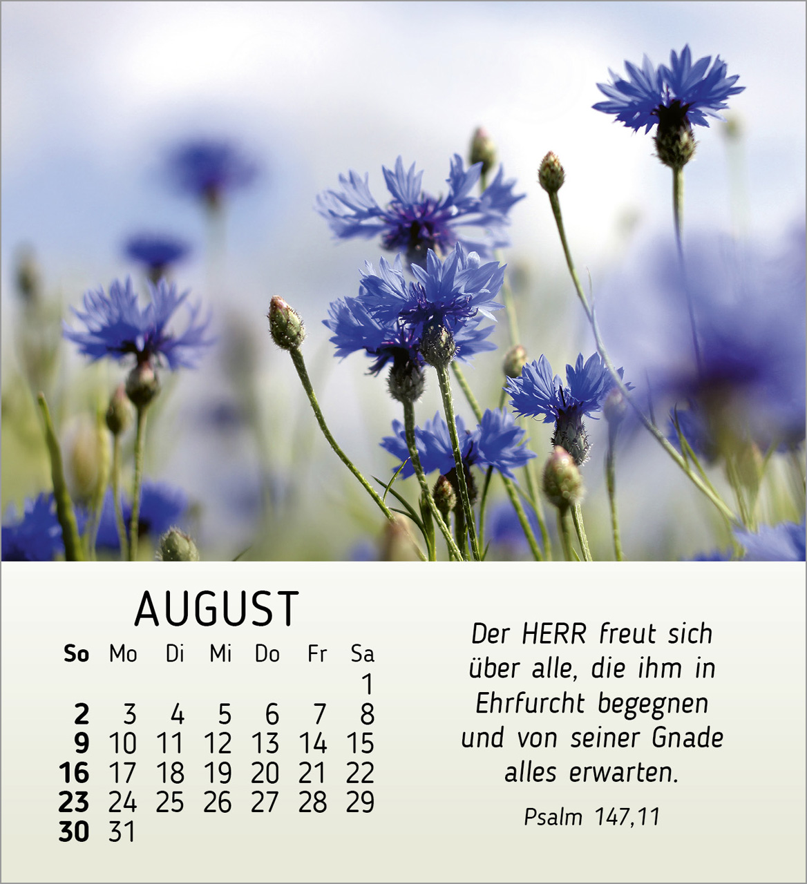 Ich wünsche dir Freude Tischkalender 2026