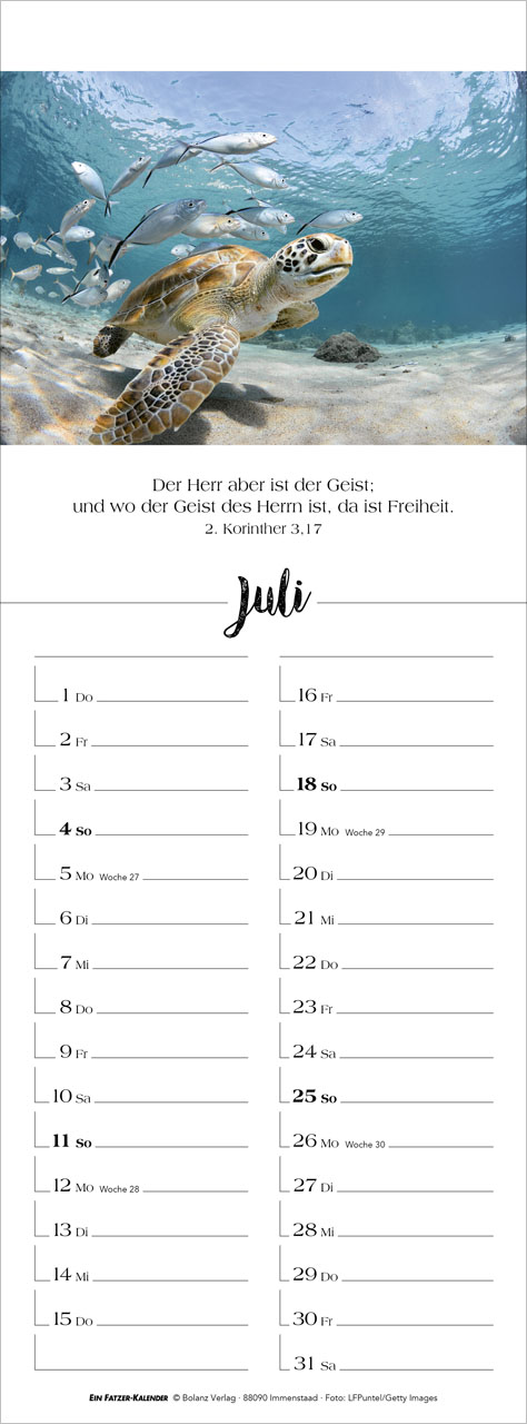 Denk dran 2027 – Streifenterminkalender
