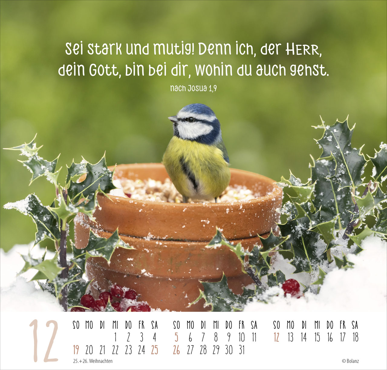 Beste Freunde – Ich mag dich 2027 – Posterkalender