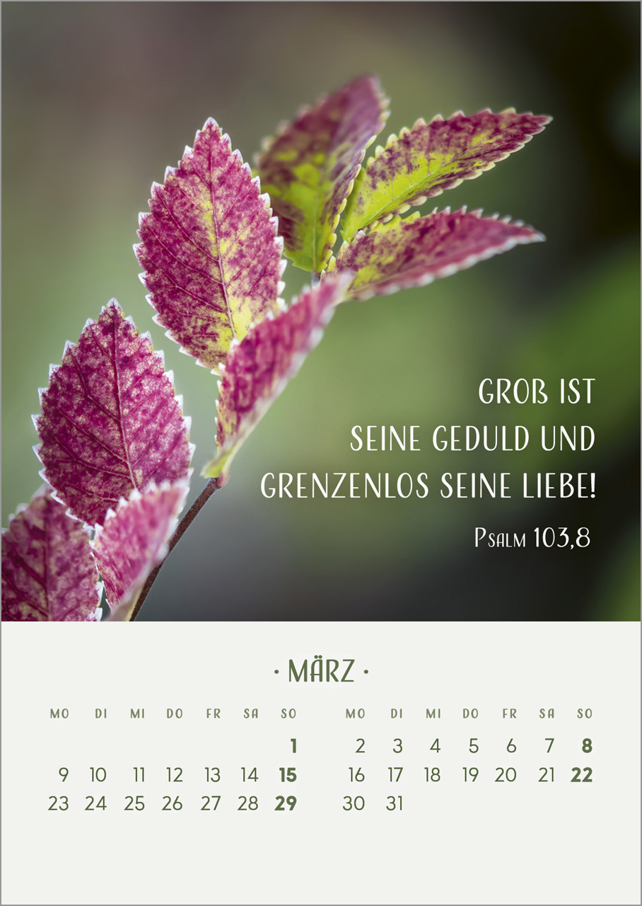 Zarte Blumengrüße 2026 Zarte Blumengrüße 2026