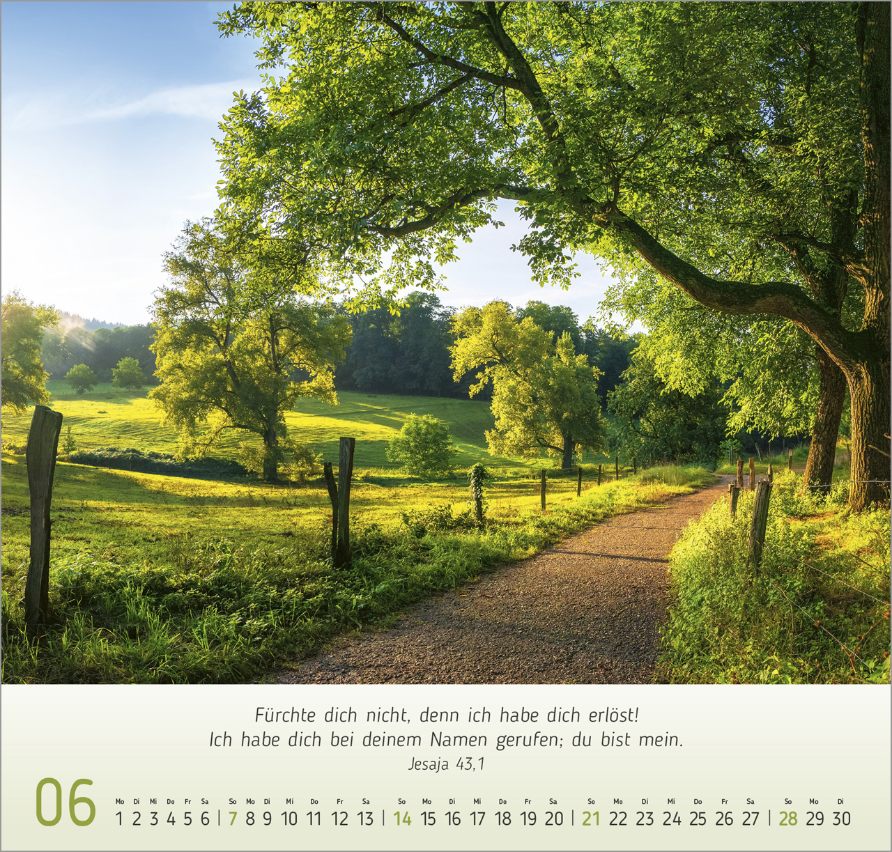 Licht Impressionen Wandkalender 2026
