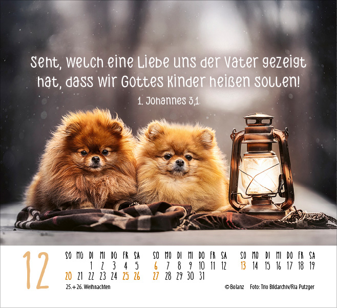Hunde - treue Wegbegleiter  - Minikalender 2026