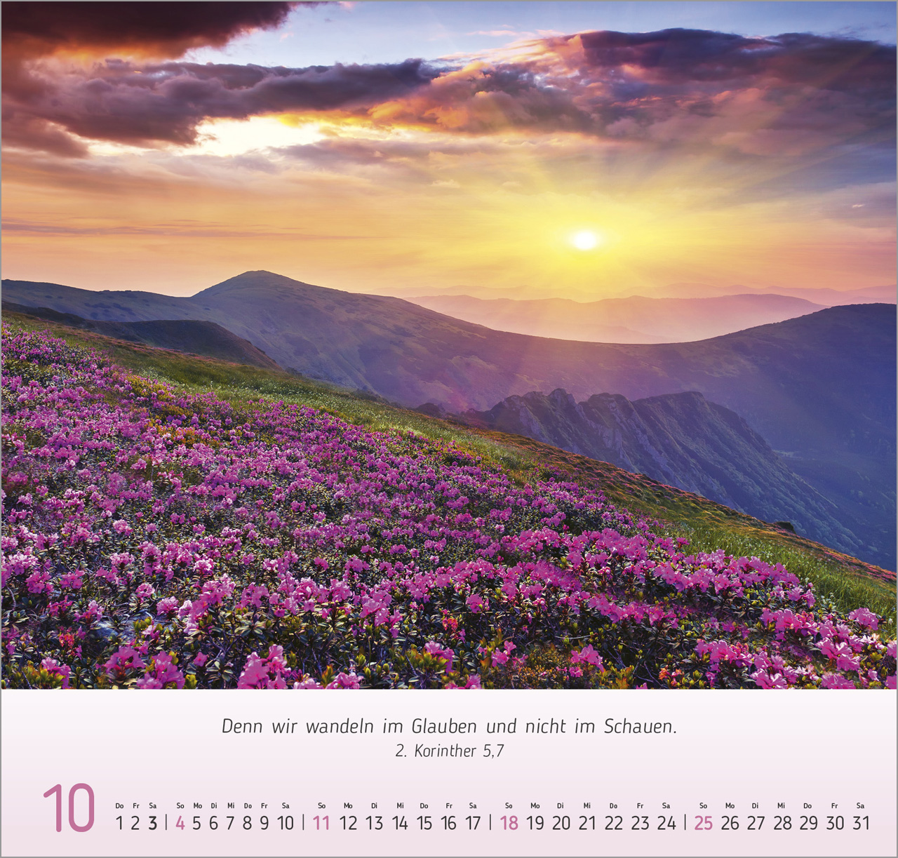 Licht Impressionen Wandkalender 2026
