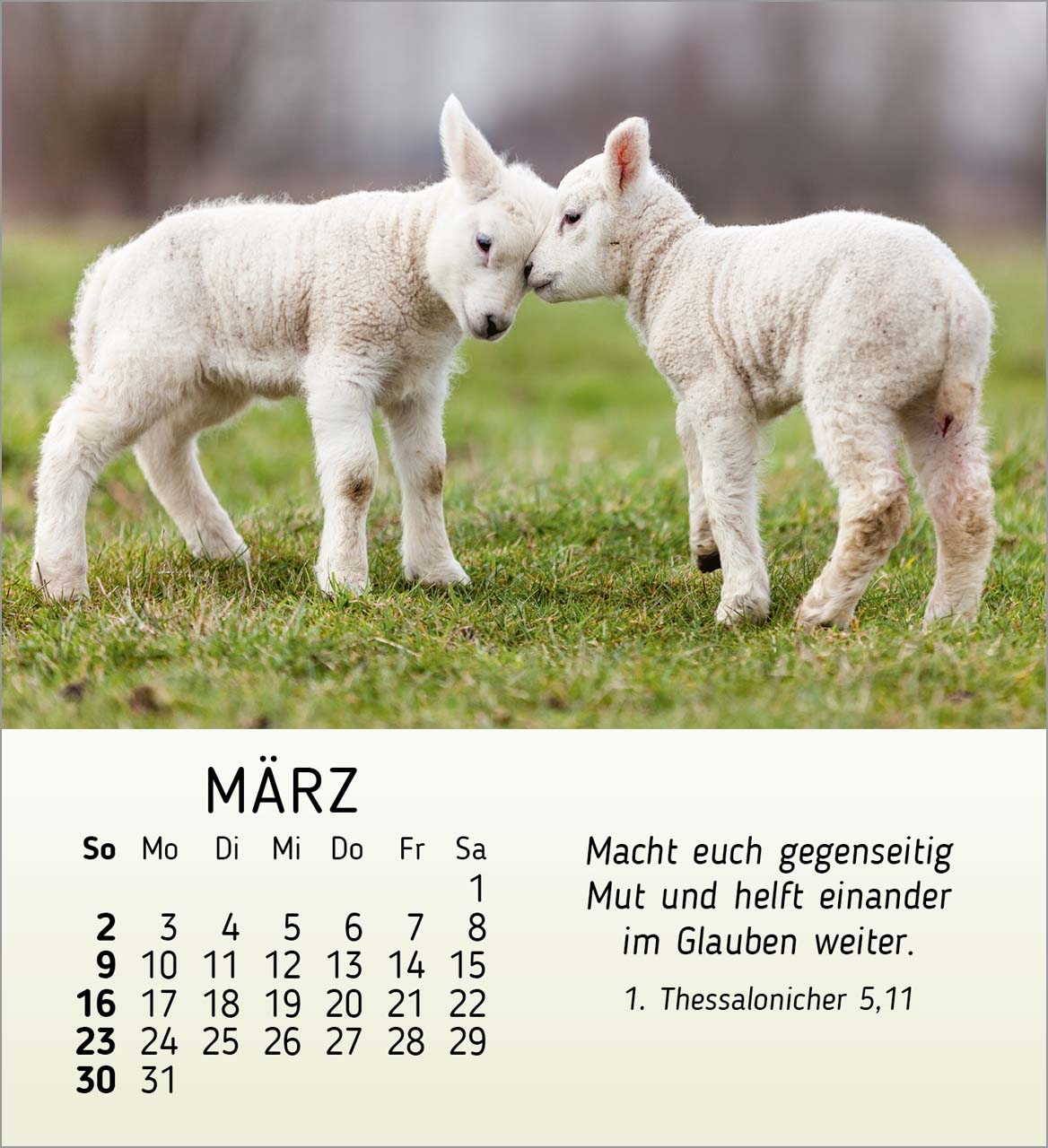 Meine kleinen Freunde 2025 - Tischkalender