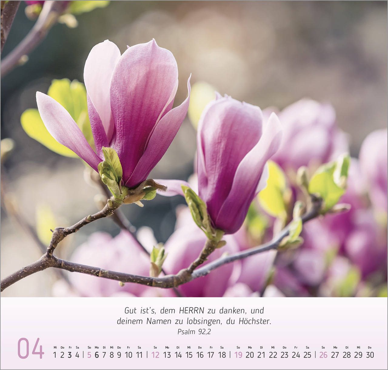 Blumen-Impressionen Wandkalender 2026