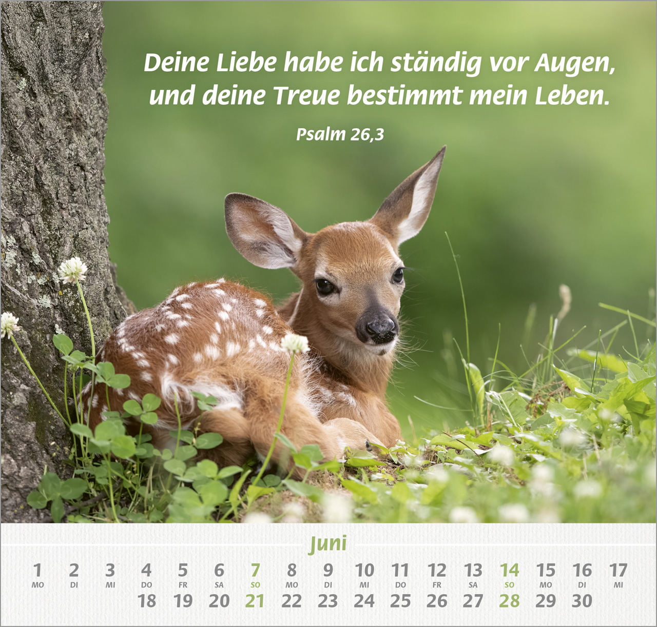 Ich hab dich gern Wandkalender 2026