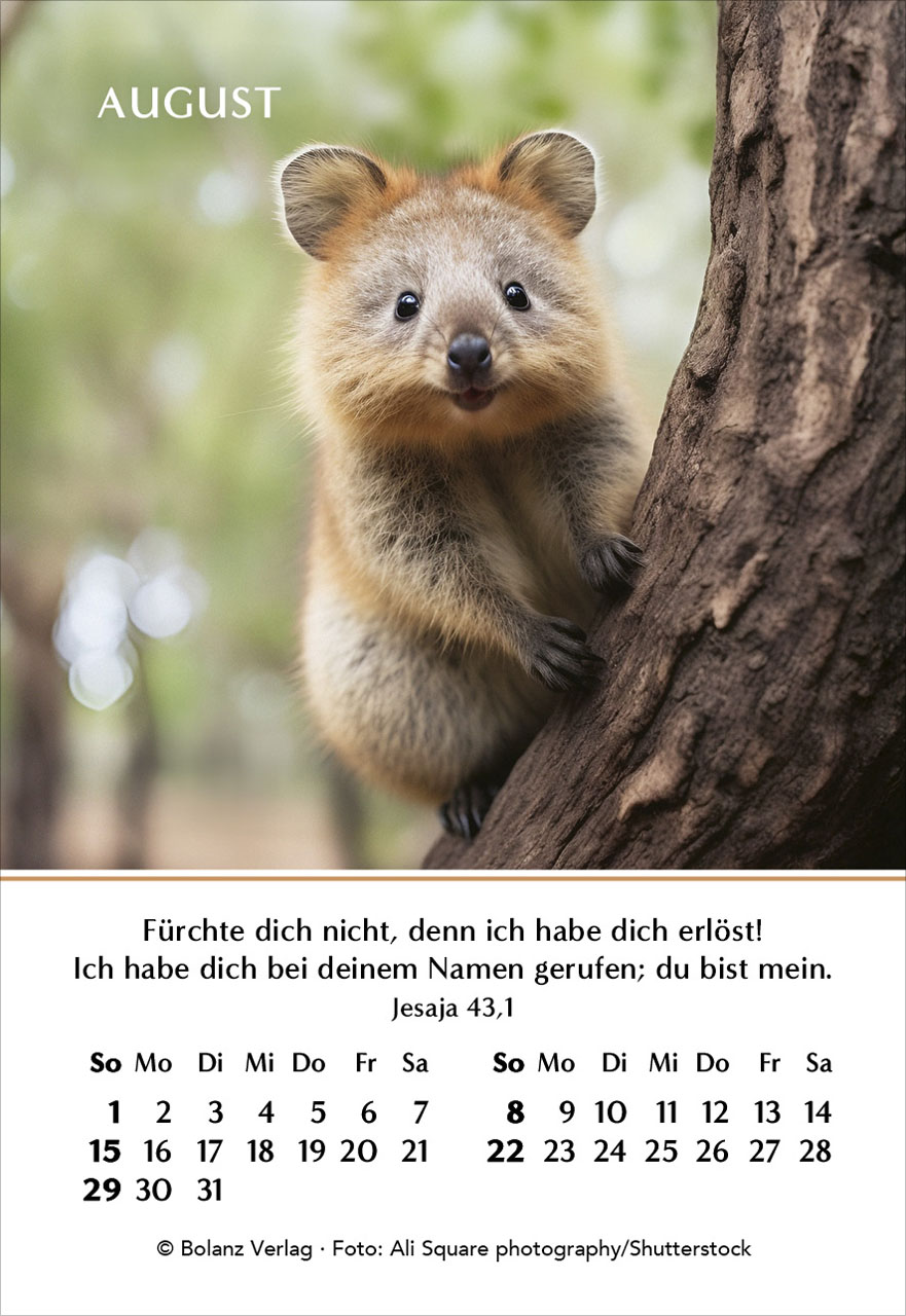 Ein Jahr der Geborgenheit 2027 Minikalender