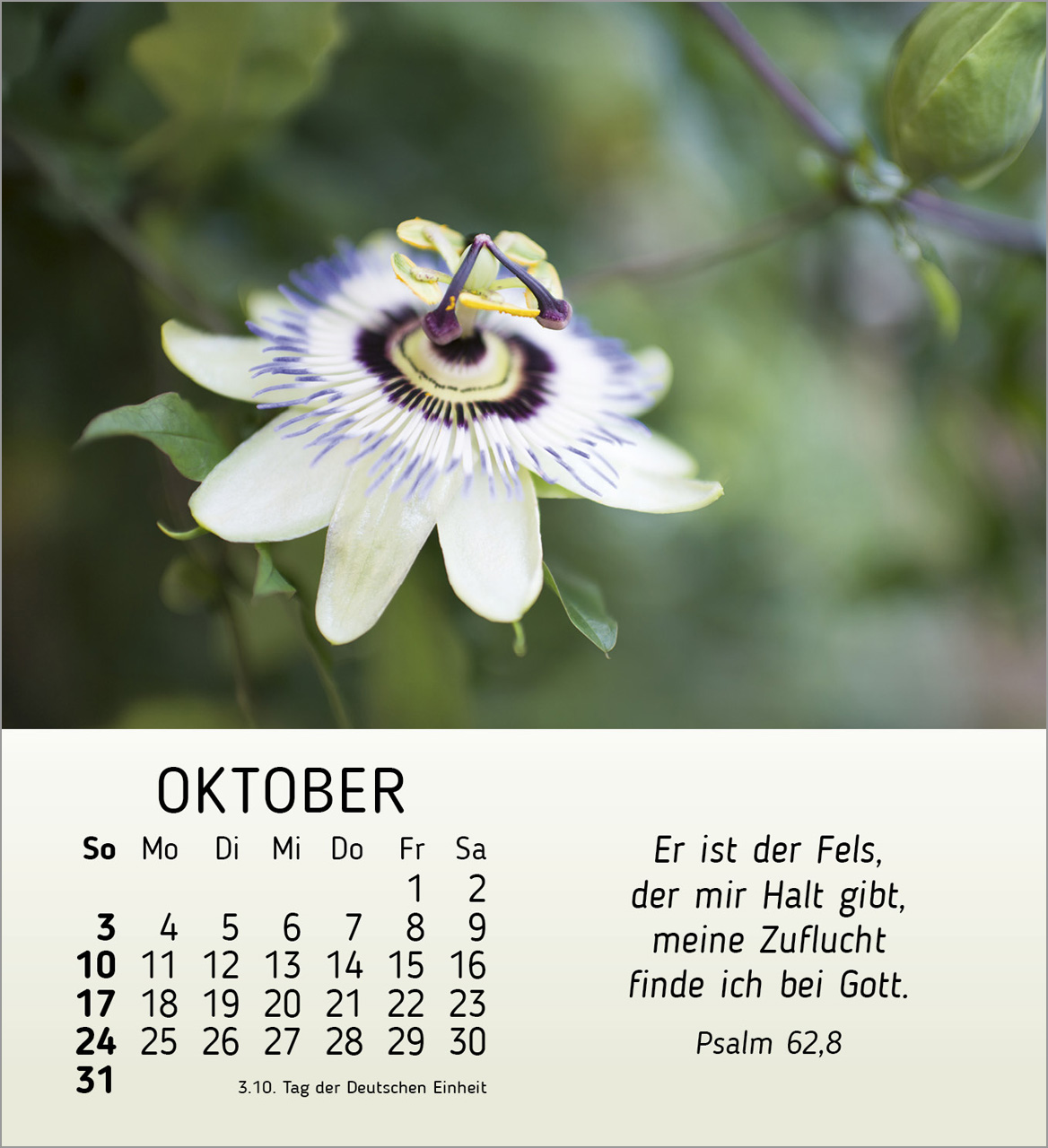 Ich wünsche dir Freude 2027 – Tischkalender