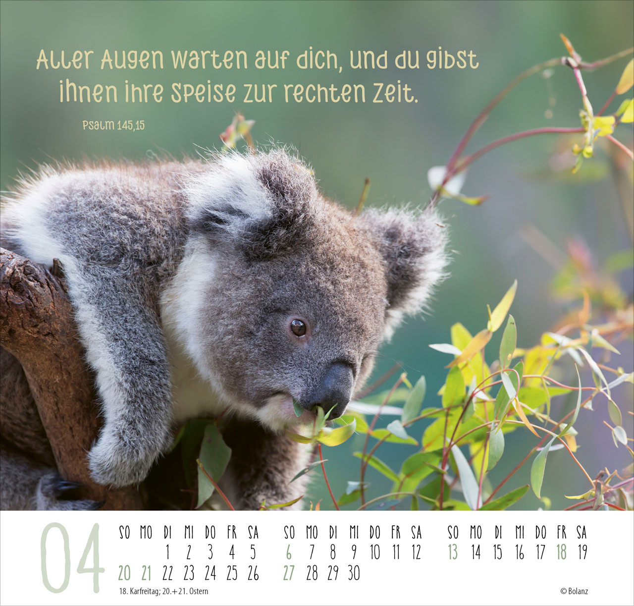 Beste Freunde - Ich mag dich 2025 - Posterkalender