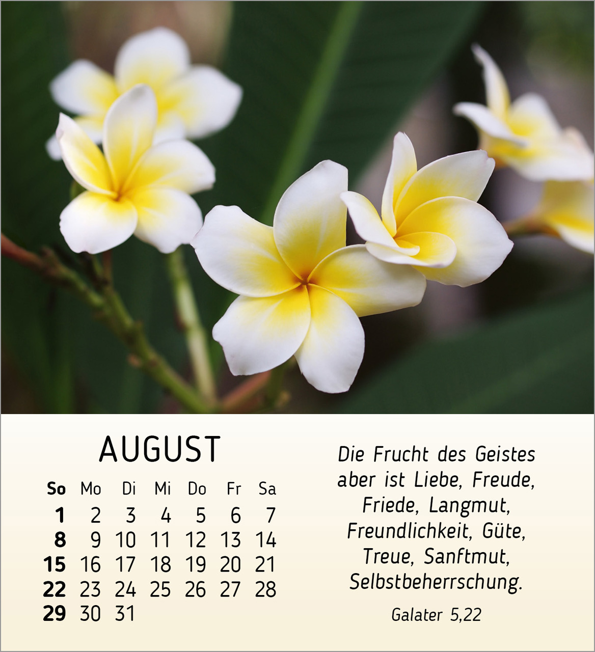 Ich wünsche dir Freude 2027 – Tischkalender