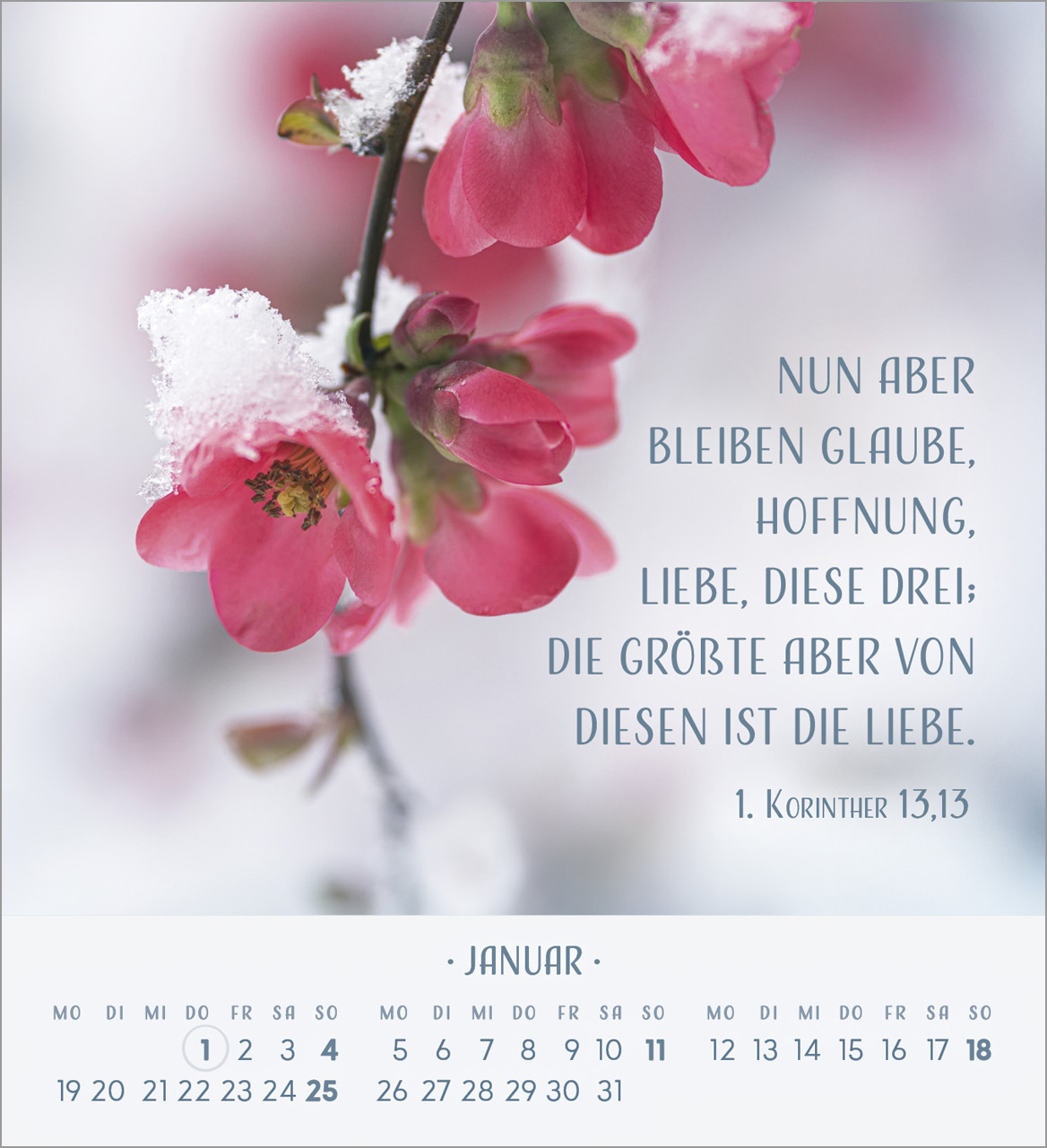 Zarte Blumengrüße Tischkalender 2026