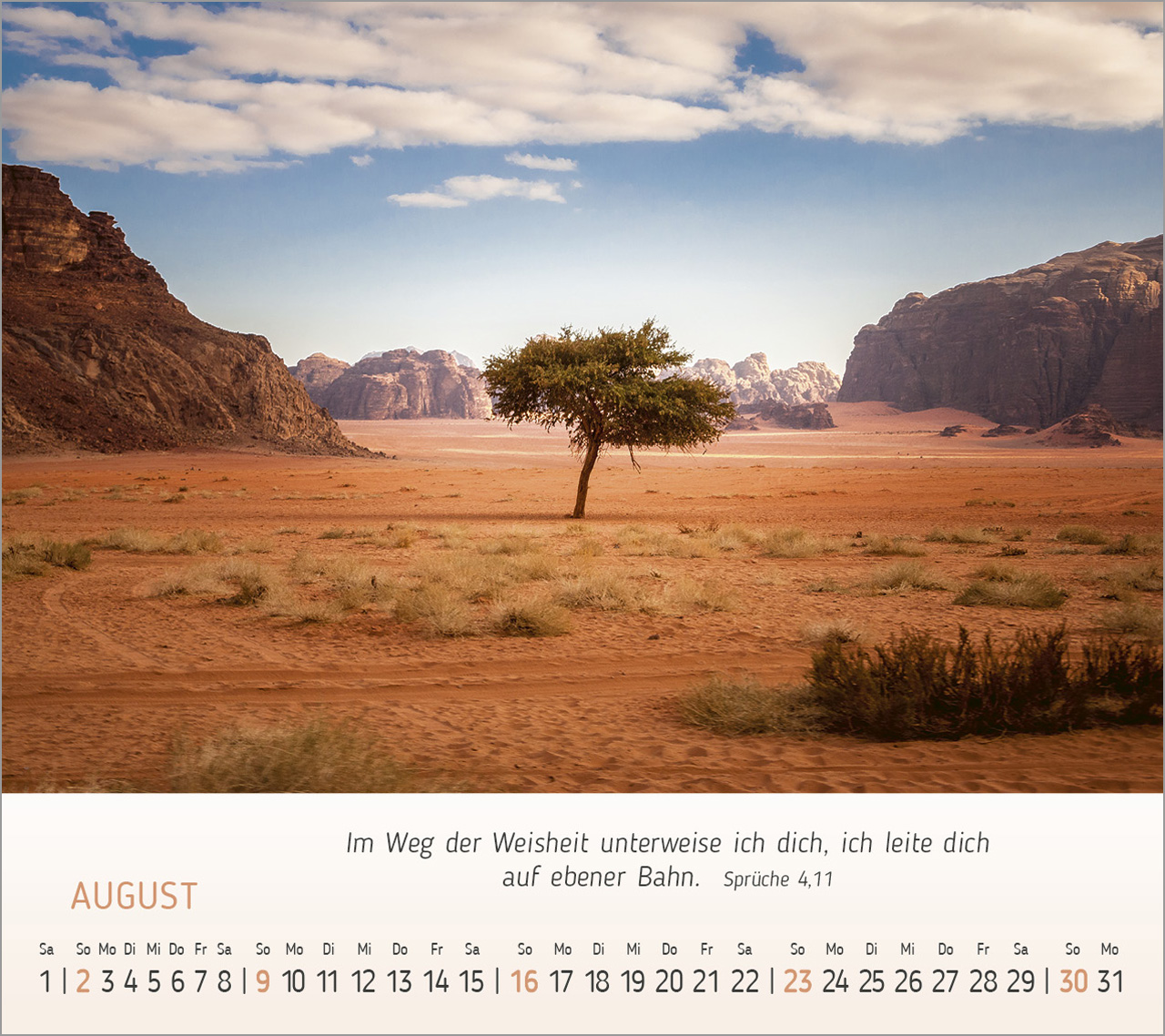 Foto-Träume - Tischkalender 2026 Foto-Träume - Tischkalender 2026