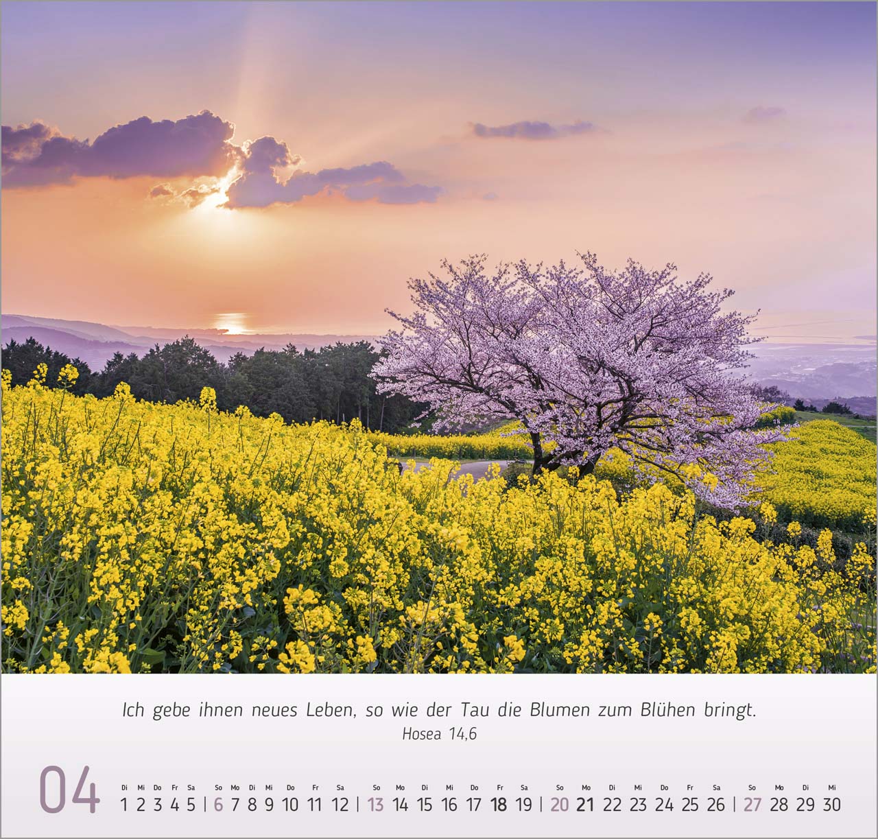 Natur- Impressionen Wandkalender