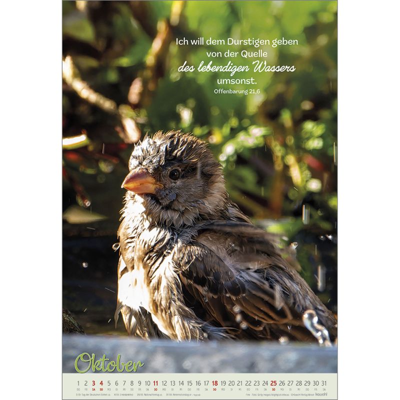 Beflügelt und getragen 2026