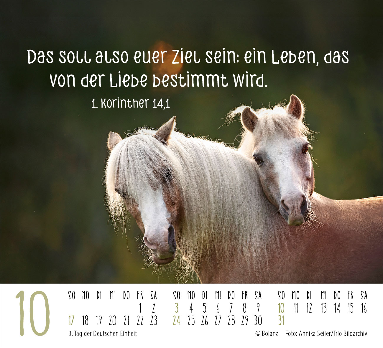 Begegnungen – dich vergess ich nie 2027 – Minikalender