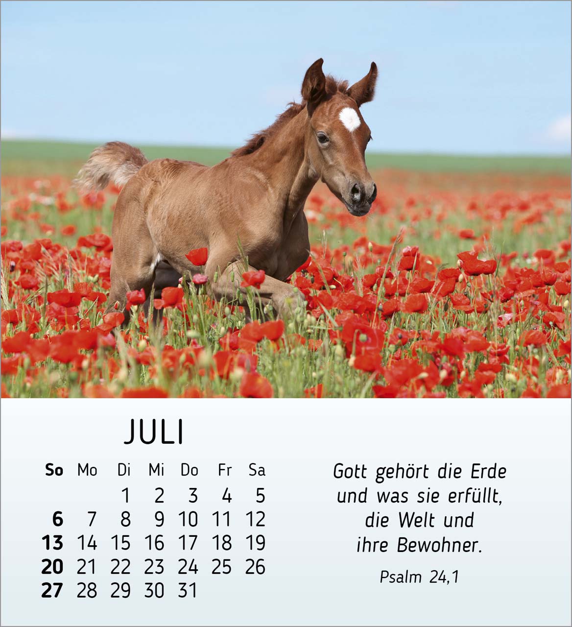 Meine kleinen Freunde 2025 - Tischkalender