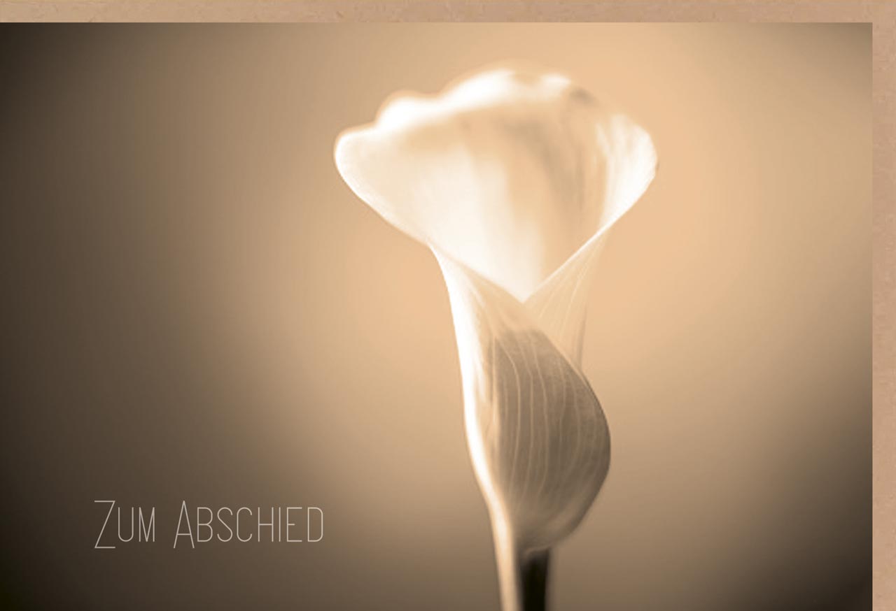 Faltkarte Zum Abschied Calla-Blüte