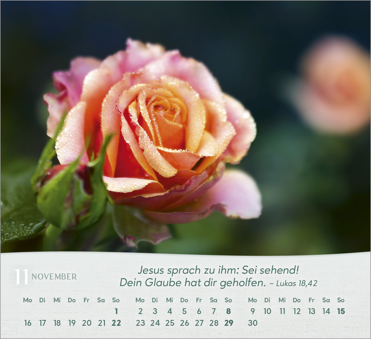 Rosen Tischkalender 2026