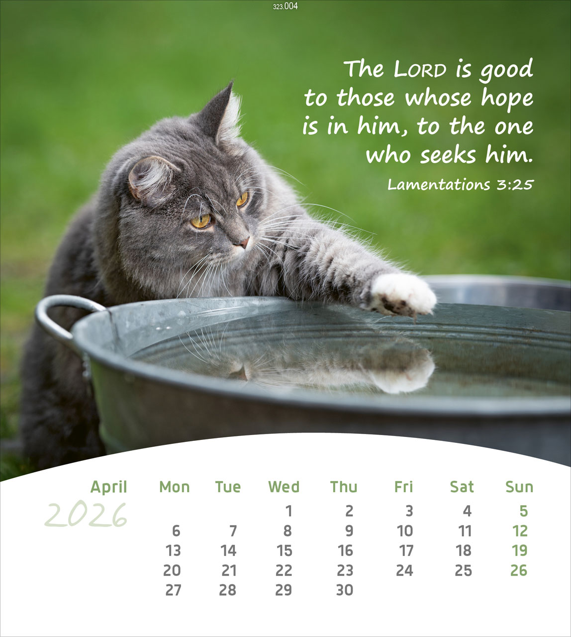 Leben für Dich 2026 - Englisch