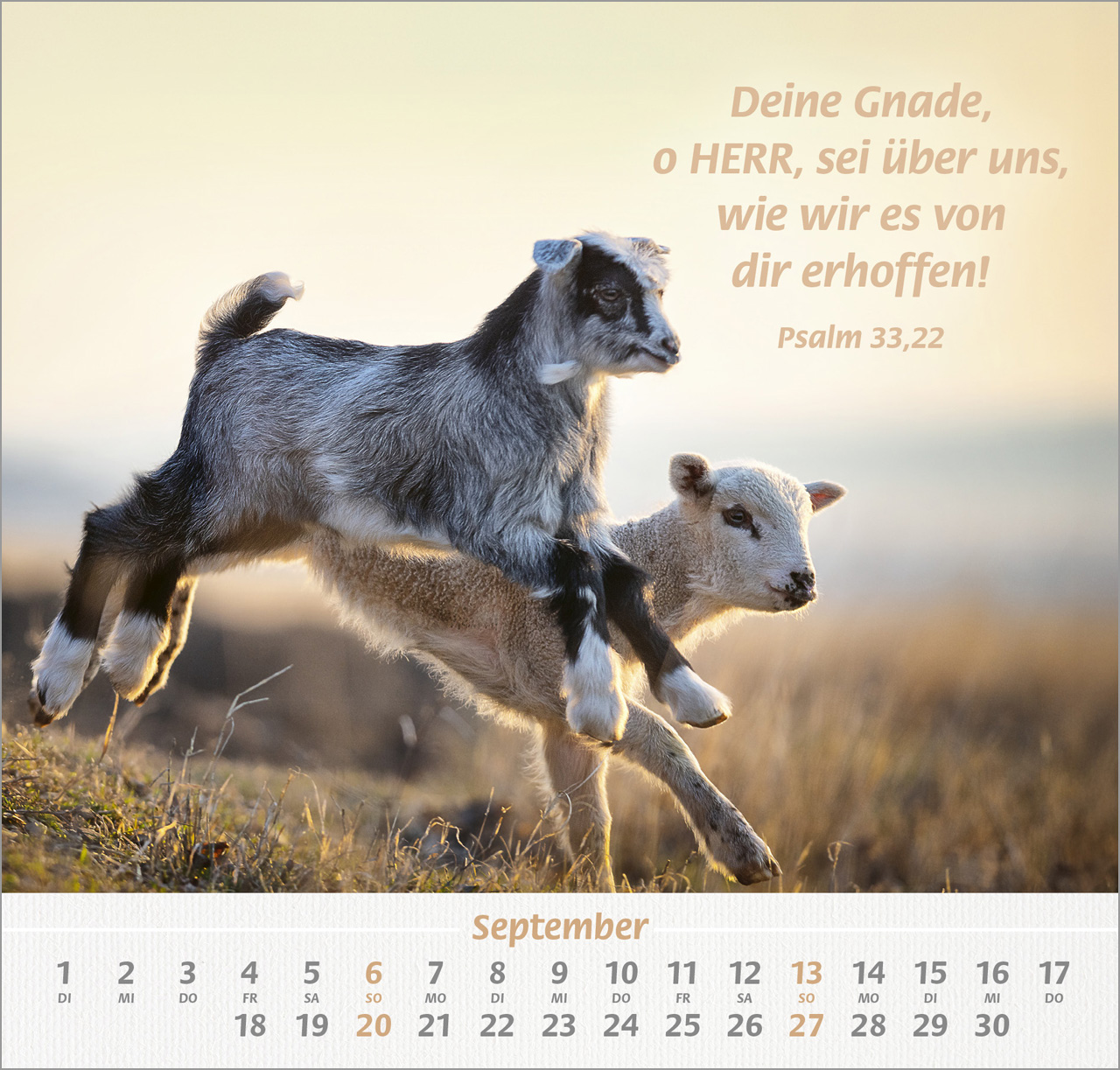 Ich hab dich gern Wandkalender 2026